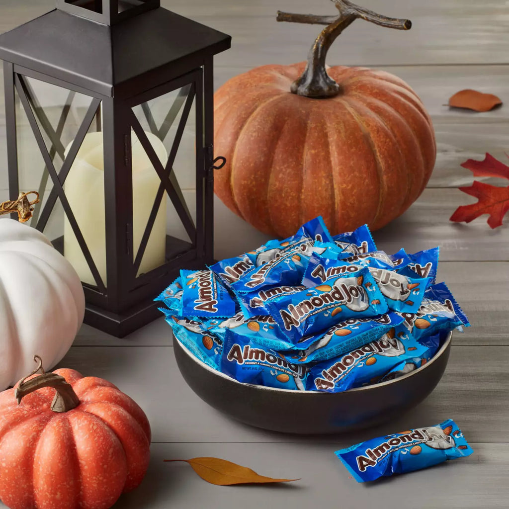 Coconut And Almond Chocolate Snack Size Halloween Candy Bag