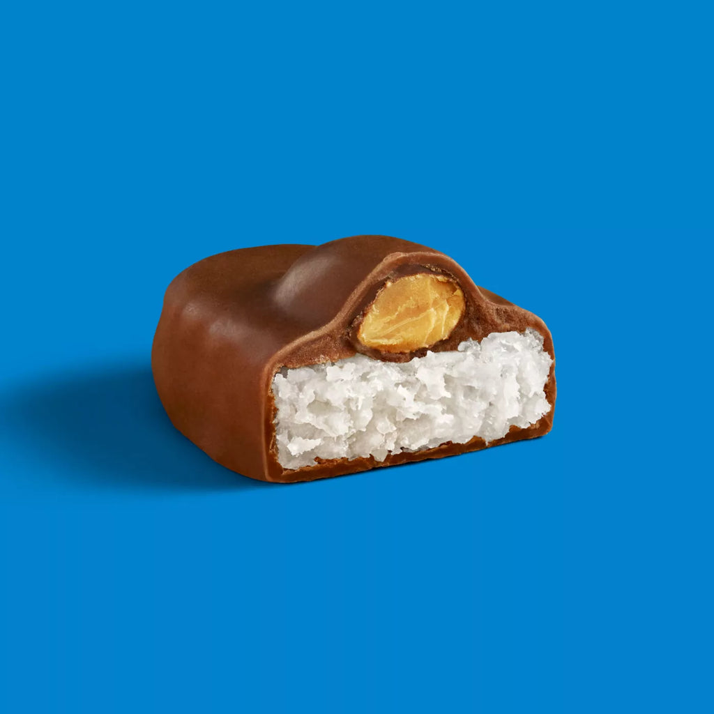Coconut And Almond Chocolate Snack Size Halloween Candy Bag