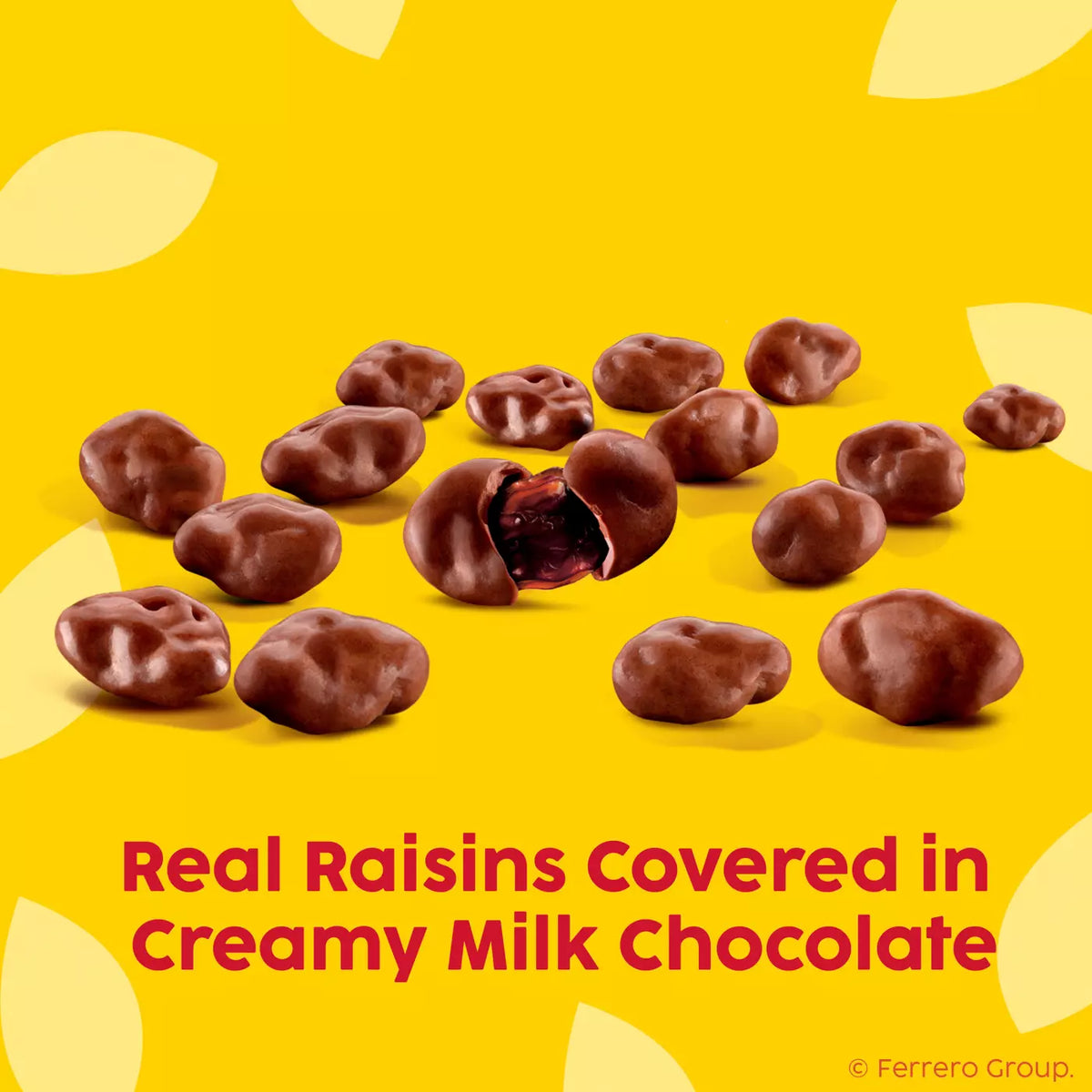 Milk Chocolate Covered California Raisins