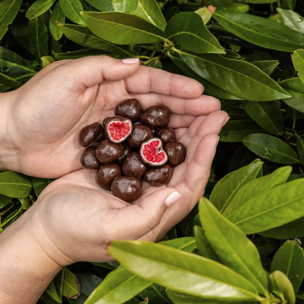 Freeze Dried Raspberries in Dark & White Chocolate